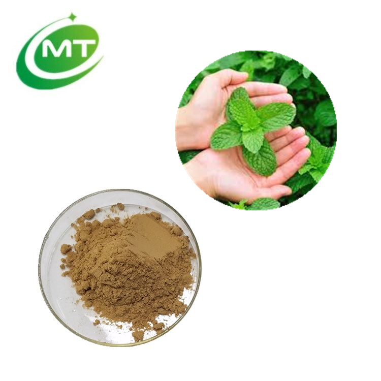 Instant Mint Extract Powder