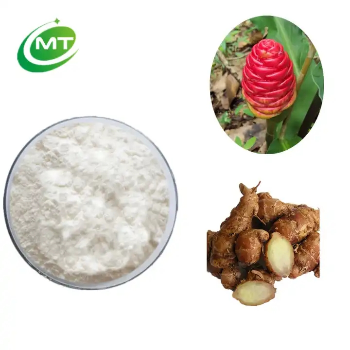 Zingiber Zerumbet Extract