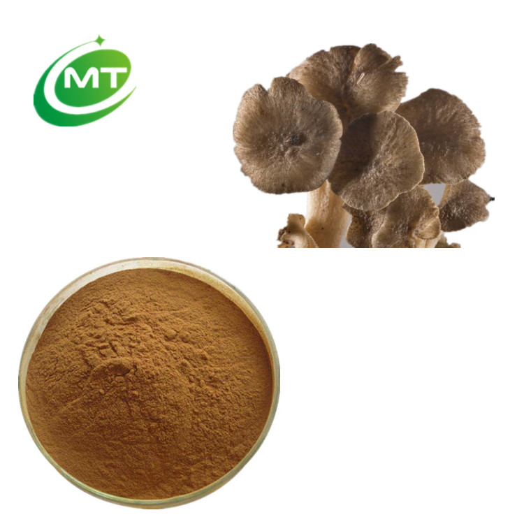 Polyporus Umbellatus Extract