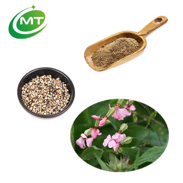 Vaccariae Semen Extract