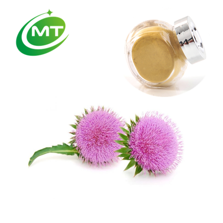 Milk Thistle Extract