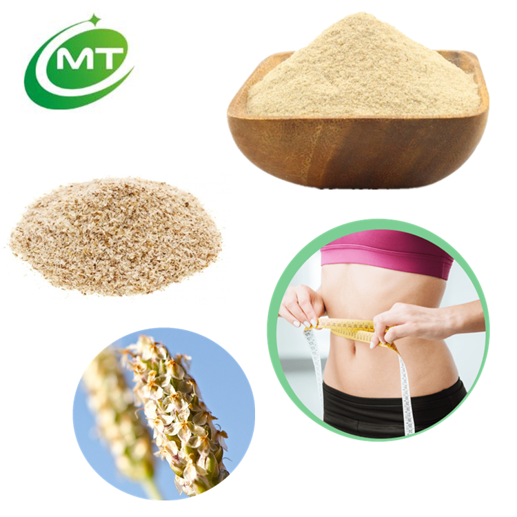 Psyllium Husk Powder