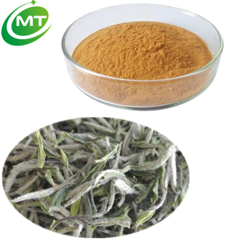 White Tea Extract