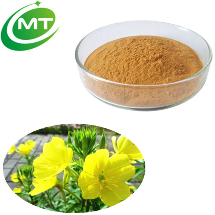 Primrose Extract