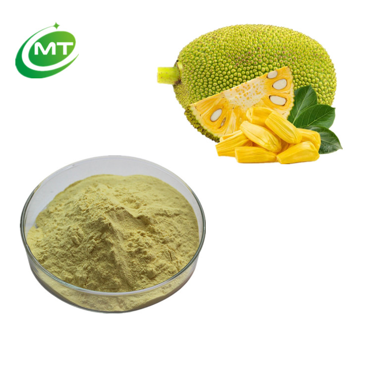 Jackfruit Powder