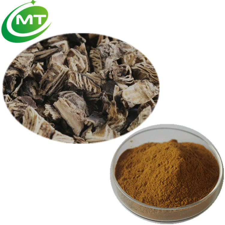 Black Cohosh Extract