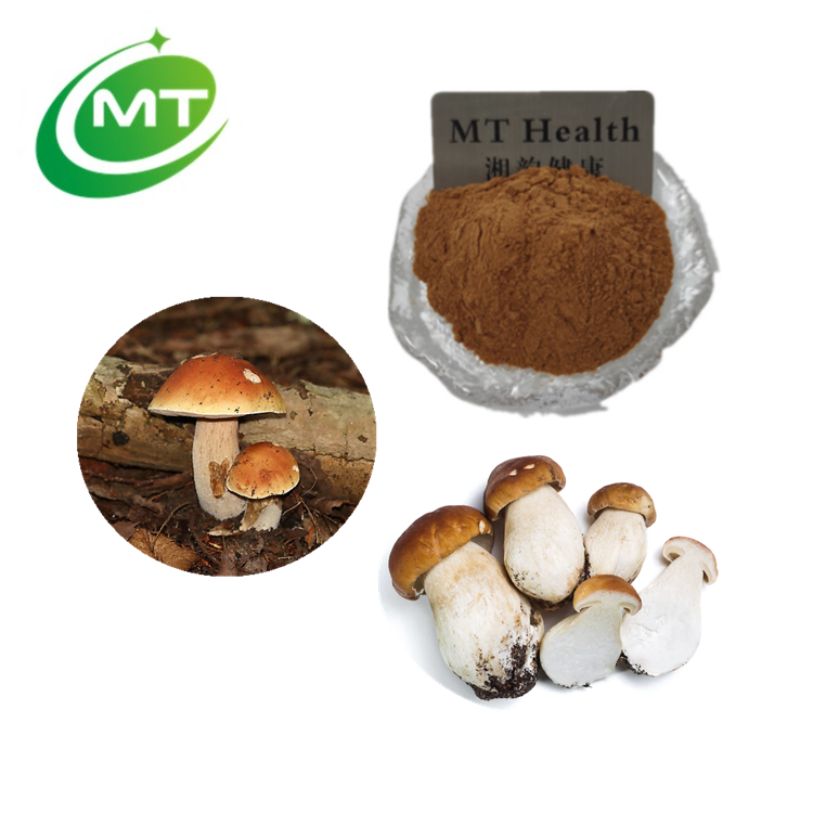 Boletus Edulis Extract