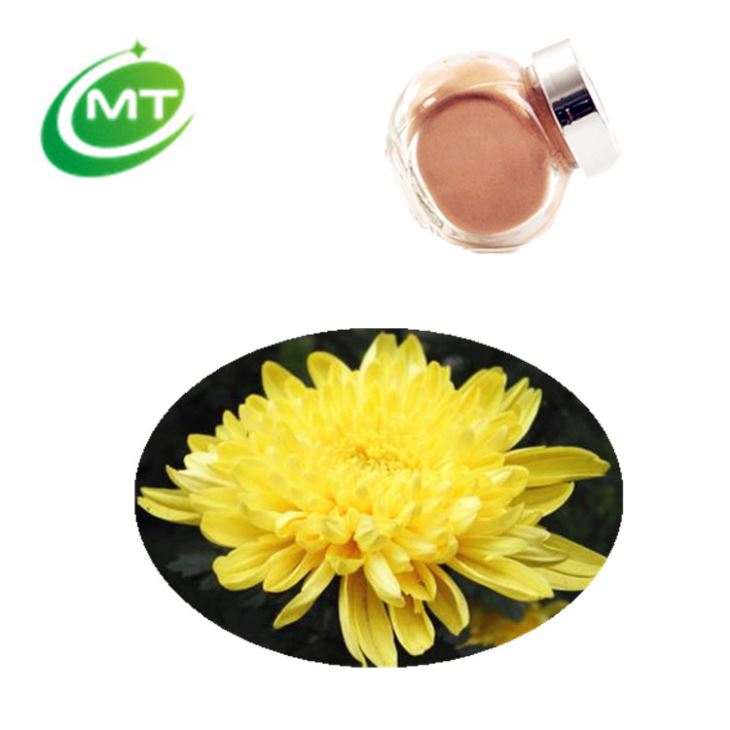 Chrysanthemum Extract