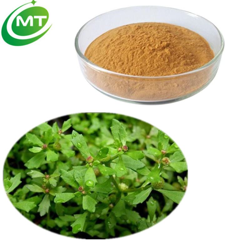 Herba Centipedae Extract