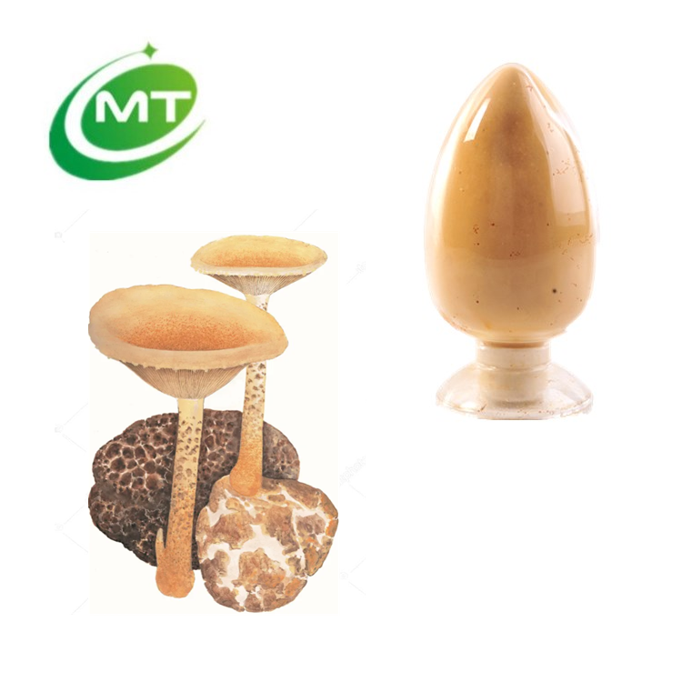 King tuber mushroom extract
