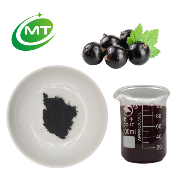 Black Currant Extract