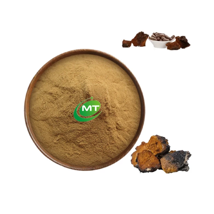 Chaga Mushroom Powder