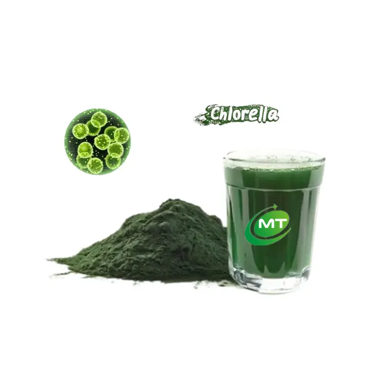 Chlorella Powder