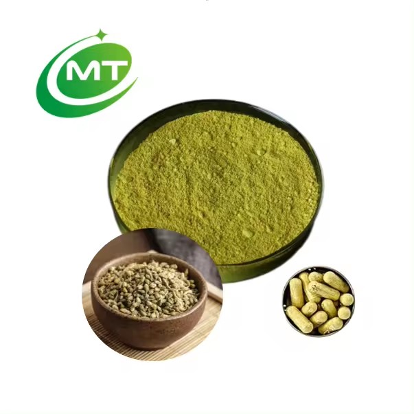 Sophora Japonica Extract