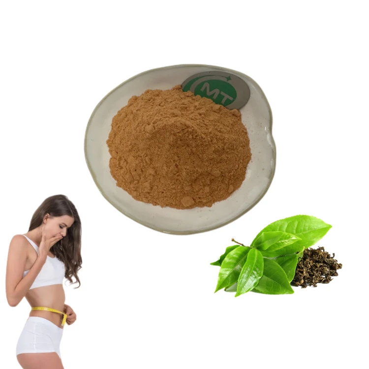 Instant Green Tea Powder