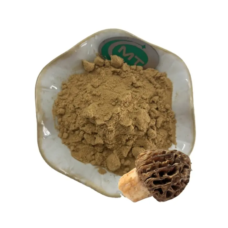 Morchella Esculenta Extract