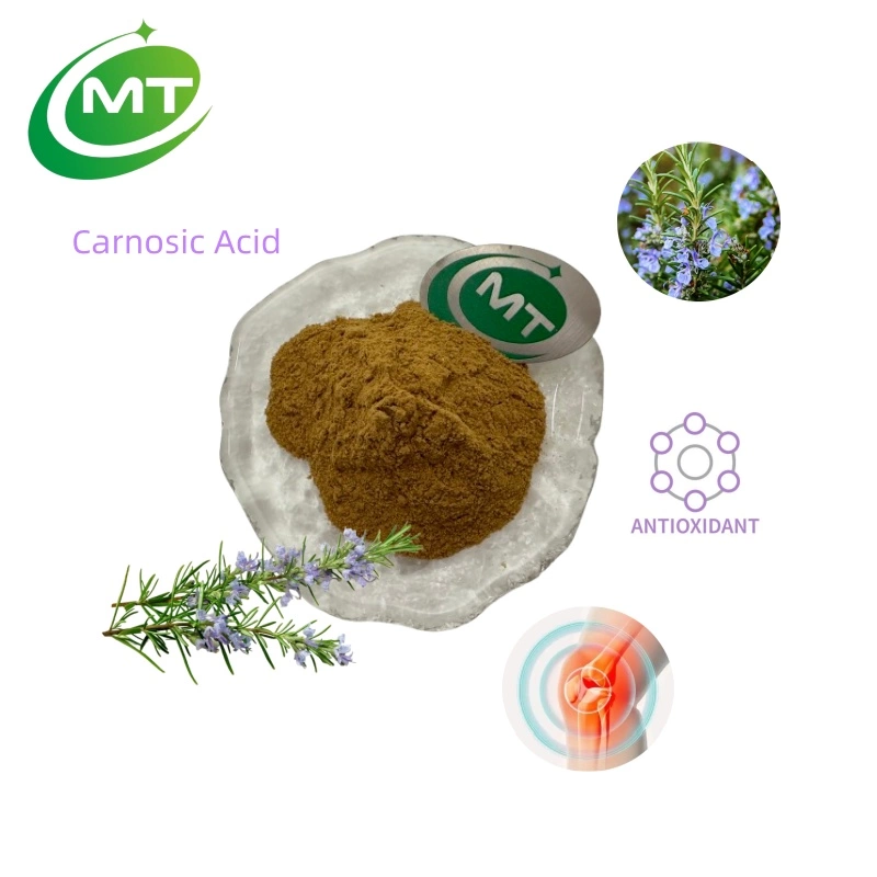 Rosemary Extract