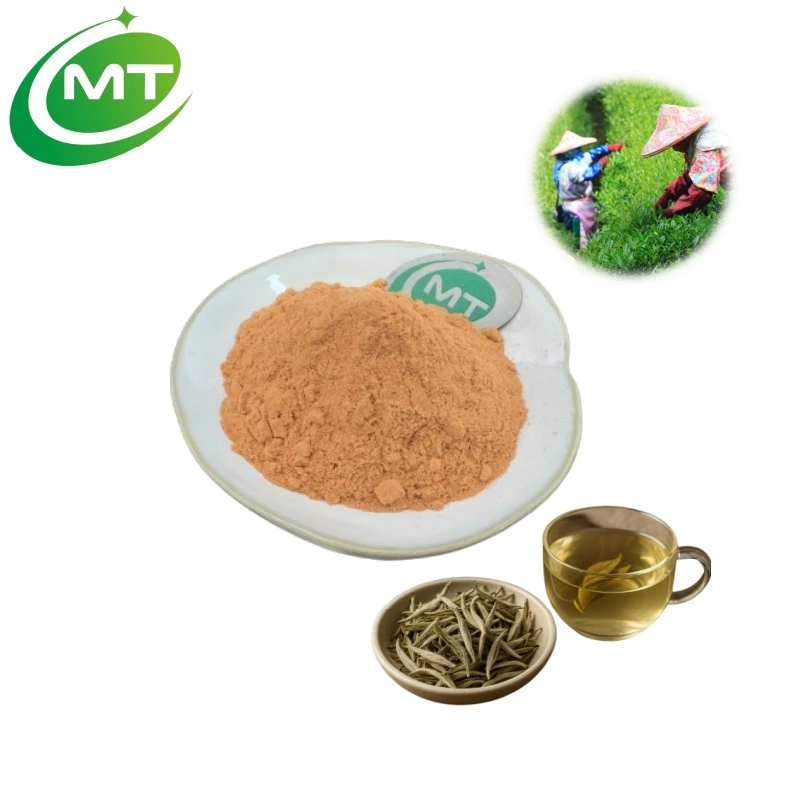 White Tea Extract