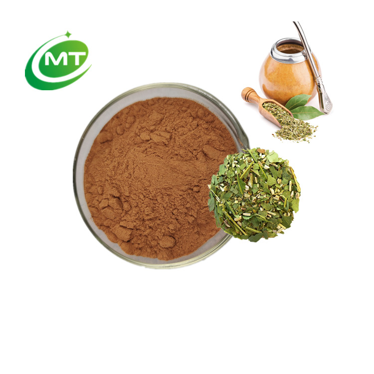 Yerba Mate Extract