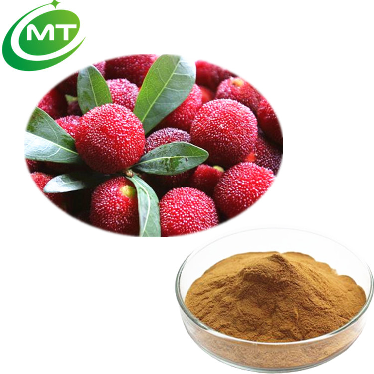 Bayberry Extract