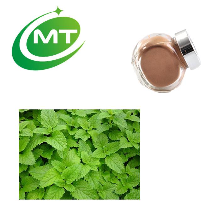 Lemon Balm Extract