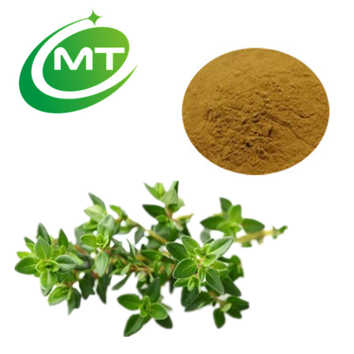 Thyme Extract