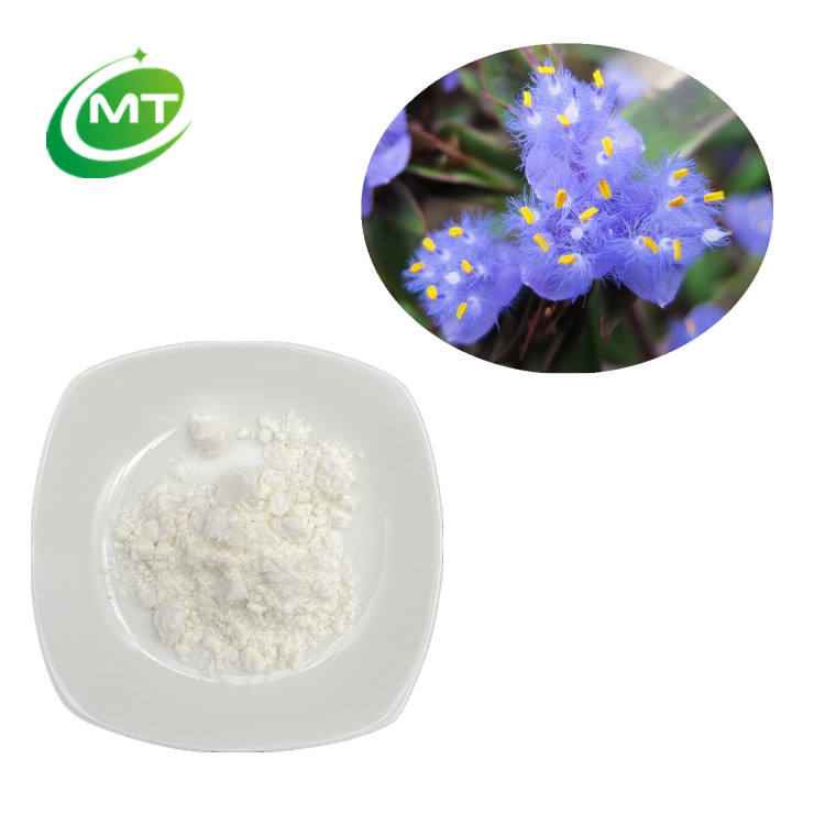 Cyanotis Vaga Extract