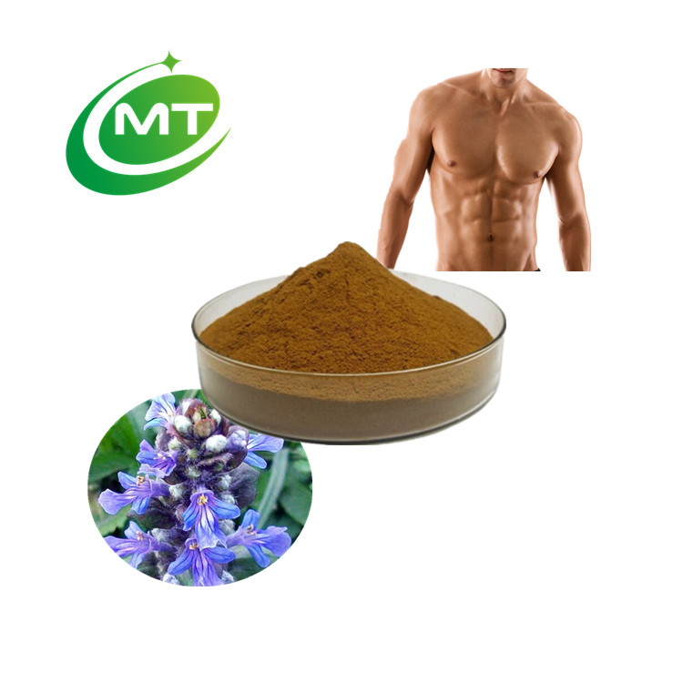 Ajuga Turkestanica Extract