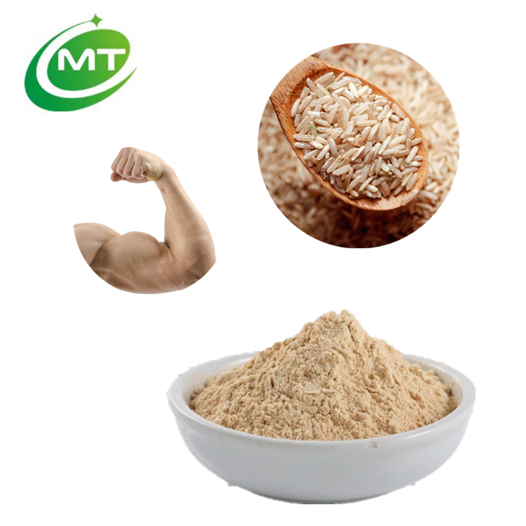 Brown Rice Protein Powder