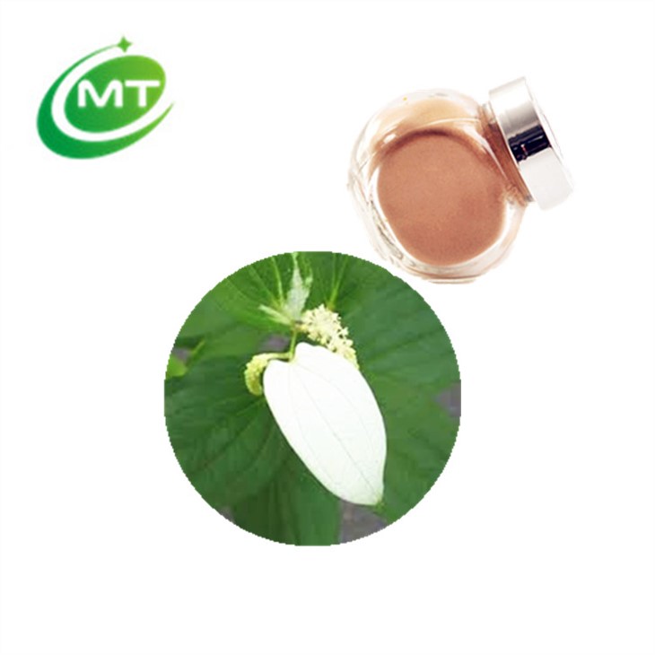 Saururus Chinensis Extract