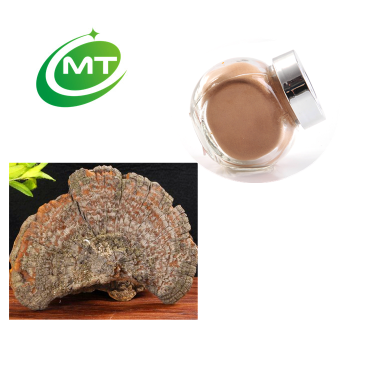 Trametes Extract