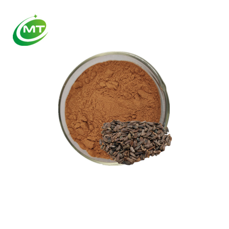 Burdock Seed Extract