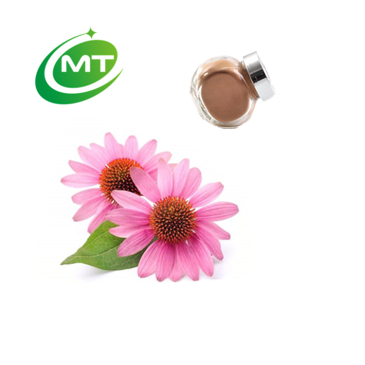 Echinacea Extract