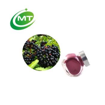 Elderberry Extract