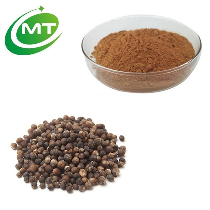 Chasteberry Extract