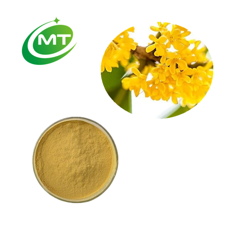 Osmanthus Fragrans Extract