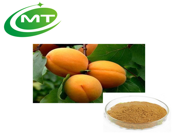 Apricot Fruit Powder