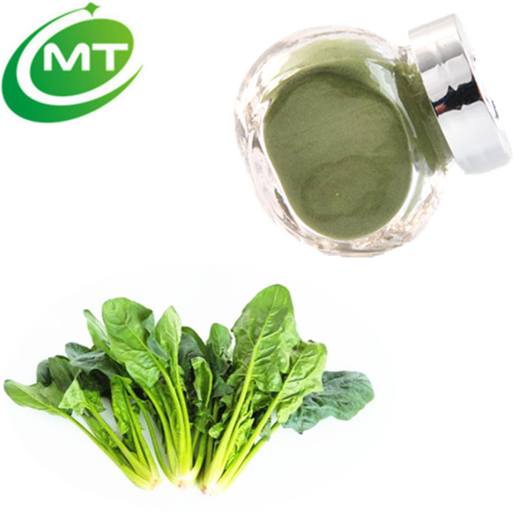 Spinach Extract