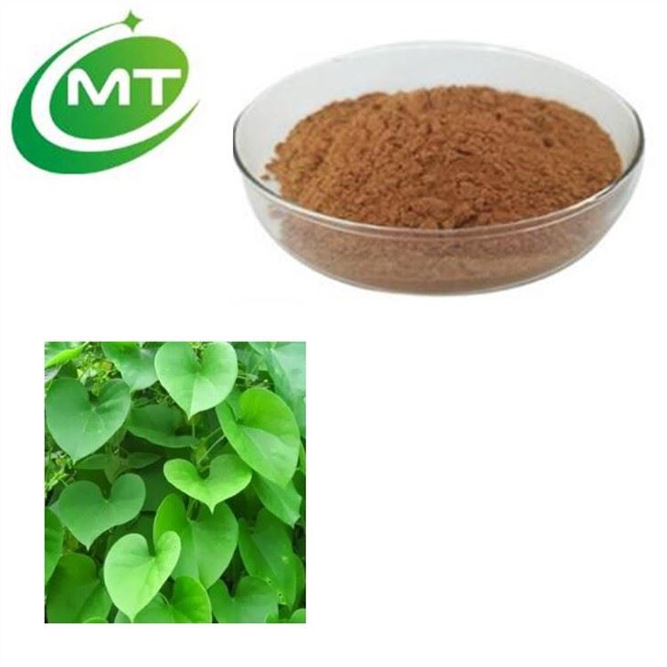 Tinospora Cordifolia Extract