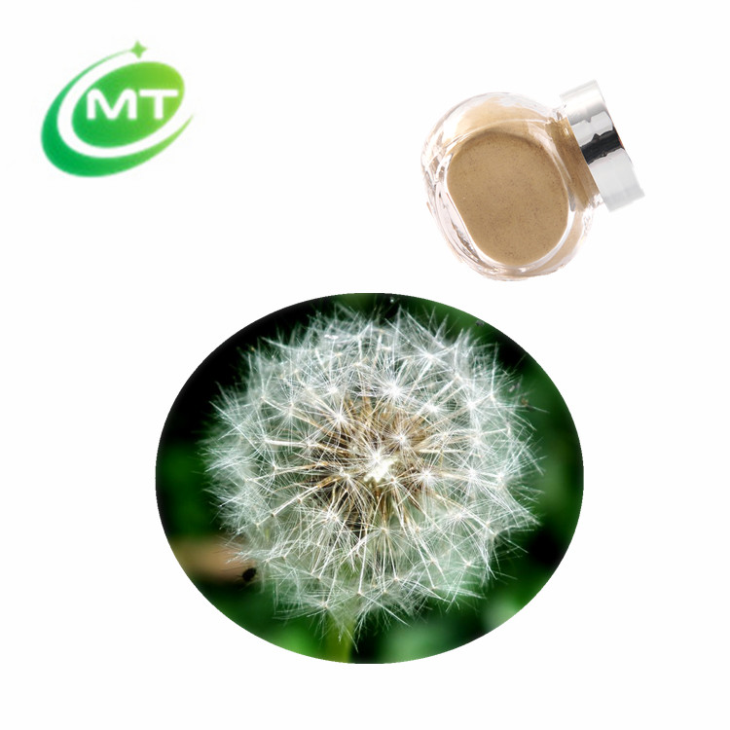 Dandelion Extract