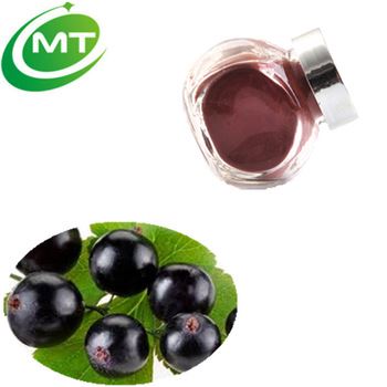 Black Currant Extract