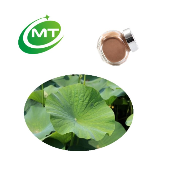 Lotus Leaf Extract