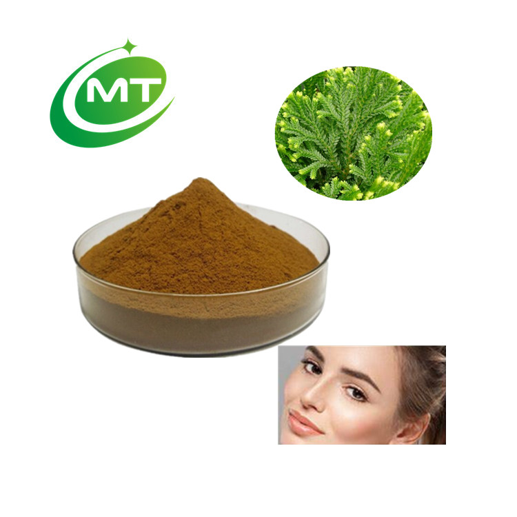 Selaginella Tamariscina extract