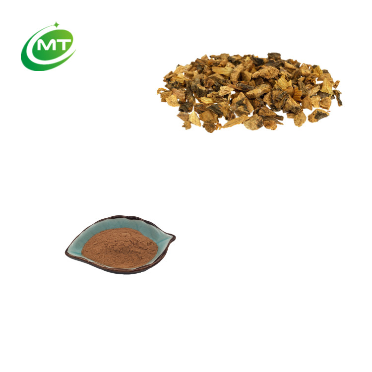 Gentian Root Extract