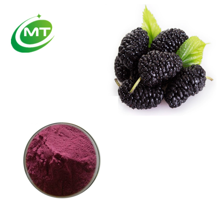 Mulberry Extract