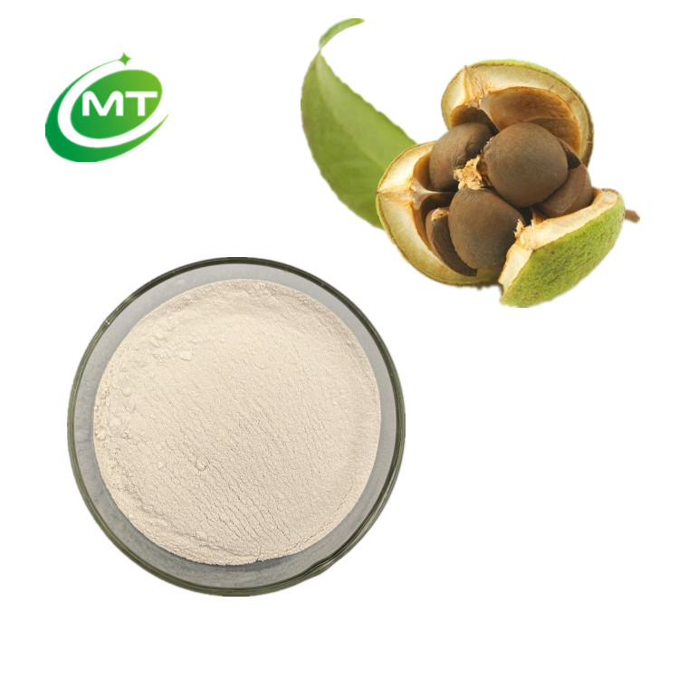 Camelia Oleifera Extract