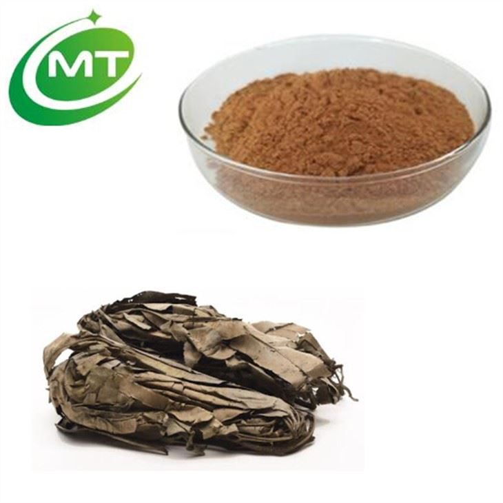 Kacip Fatima Extract