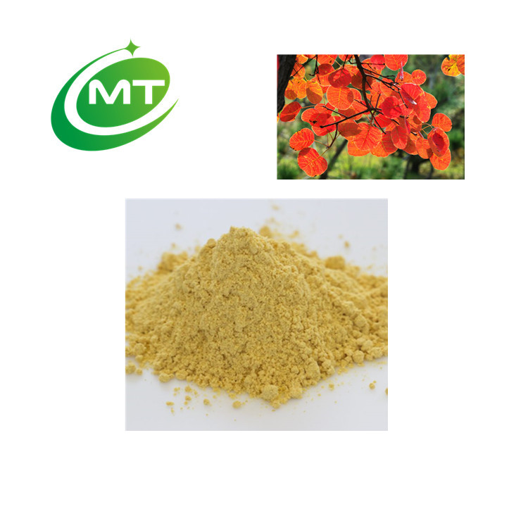 Fisetin Extract