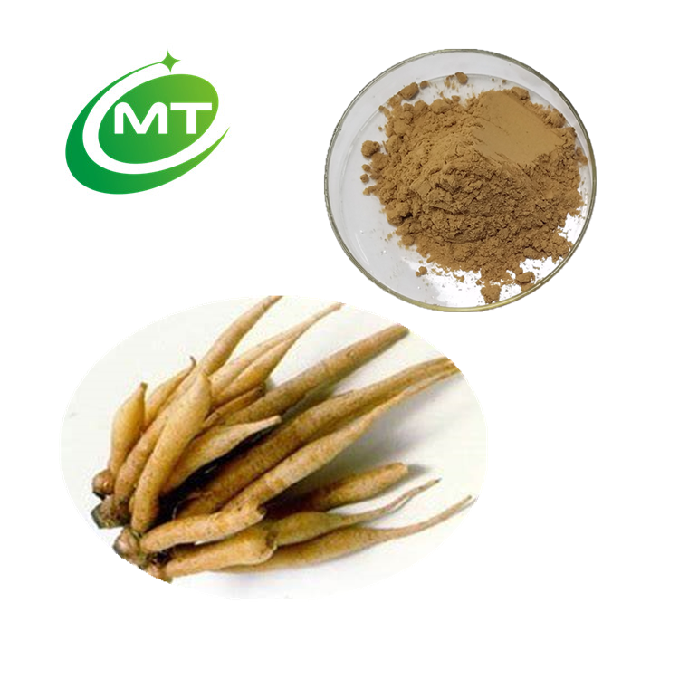 Fingerroot Extract