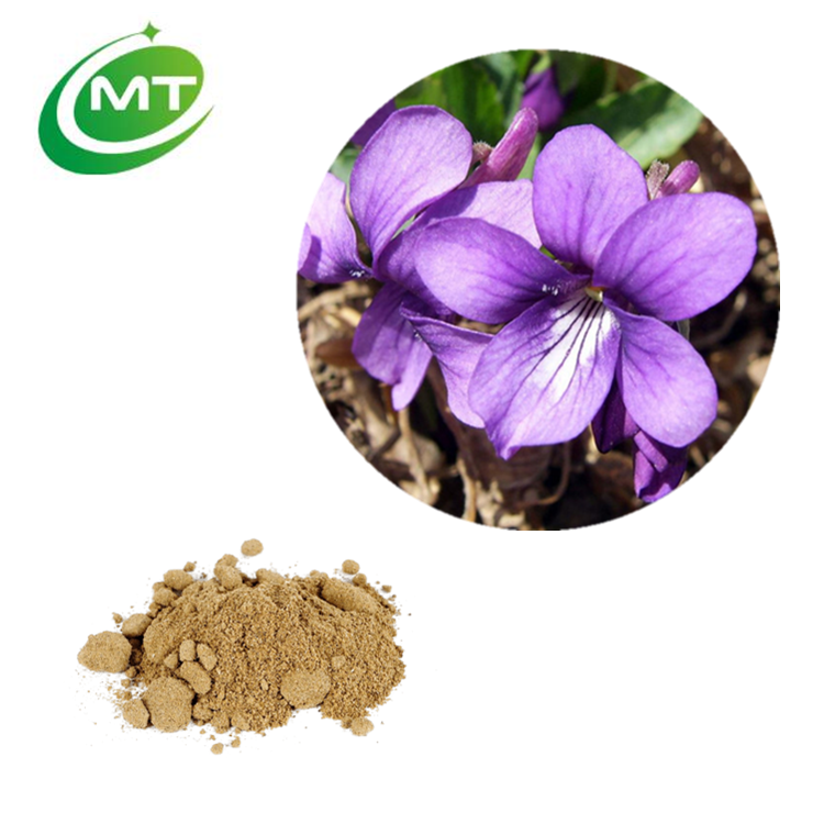 Viola Philippica Extract